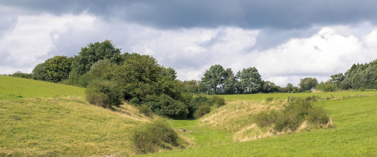 A grassy field with rolling hills and scattered trees under a cloudy sky.