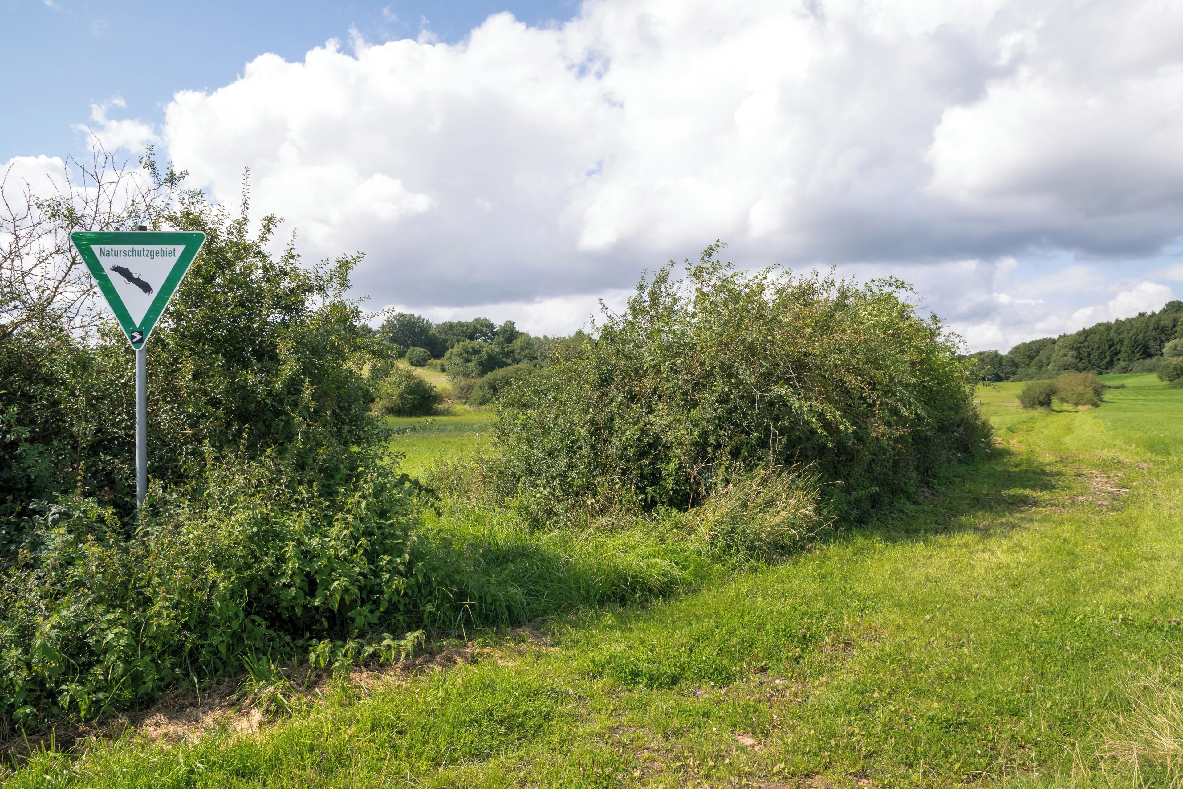 Naturschutzgebiet Sauertal, hier Abschnitt in Lichtenau-Kleinenberg, Kreis Paderborn