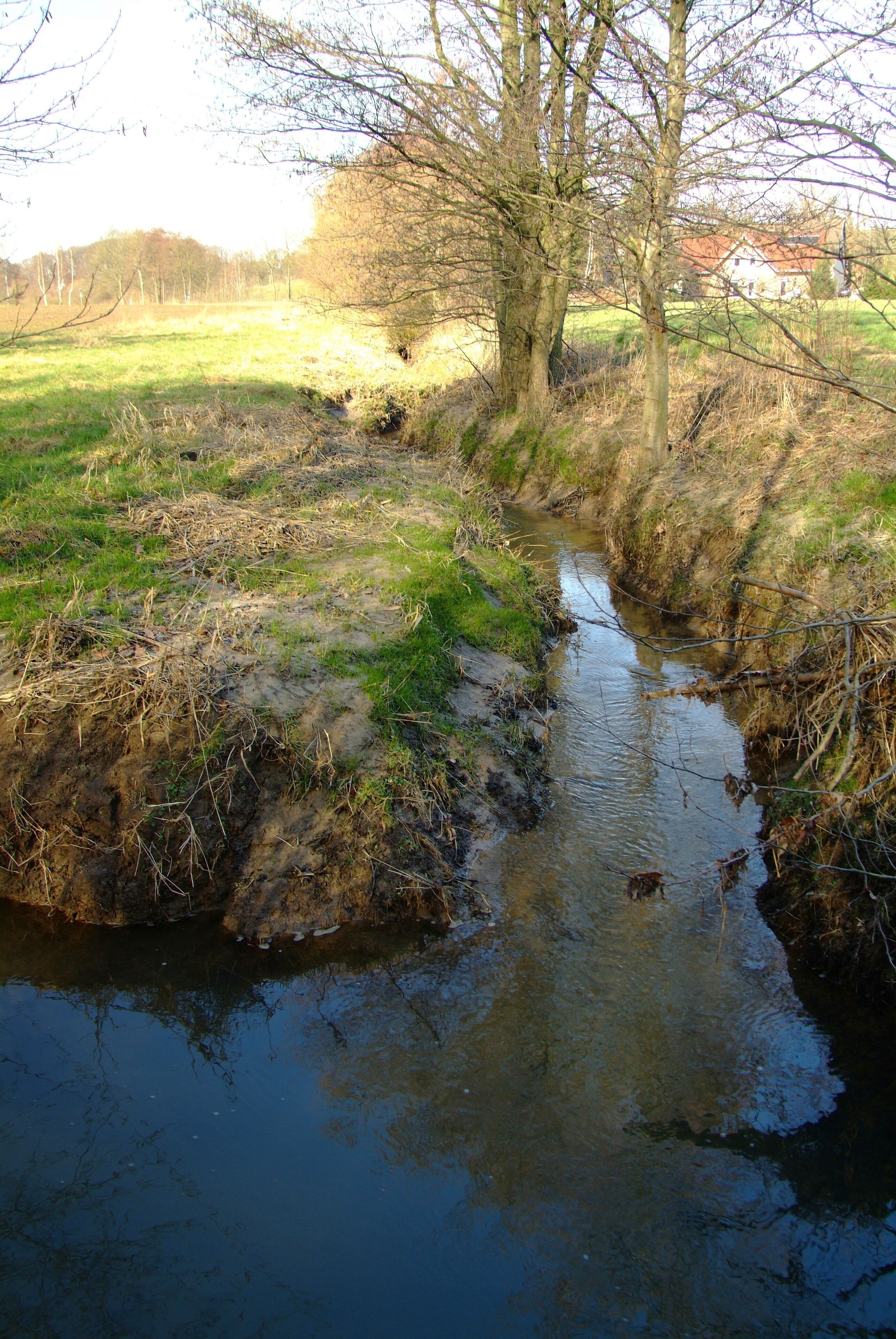 The junction of the small rivers Lambach and Kinzbeke in the town of Herford, District of Herford, North Rhine-Westphalia, Germany.
