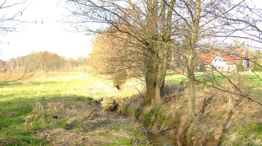The junction of the small rivers Lambach and Kinzbeke in the town of Herford, District of Herford, North Rhine-Westphalia, Germany.