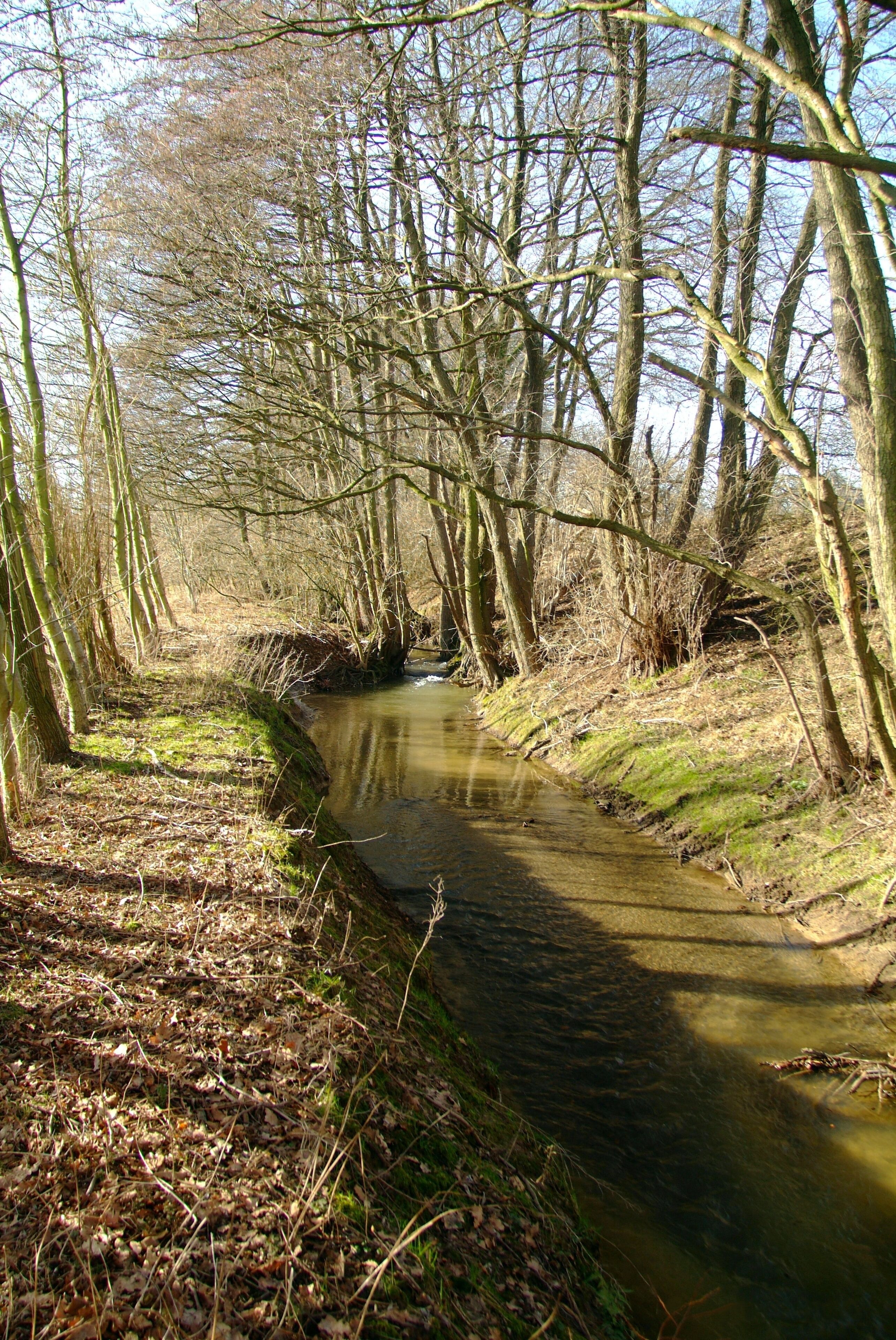 River Kinsbeke near the Diebrock graveyard in in the town of Herford, District of Herford, North Rhine-Westphalia, Germany.