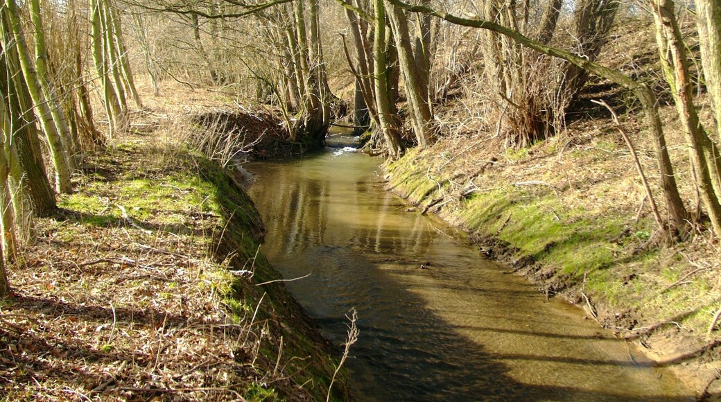 River Kinsbeke near the Diebrock graveyard in in the town of Herford, District of Herford, North Rhine-Westphalia, Germany.