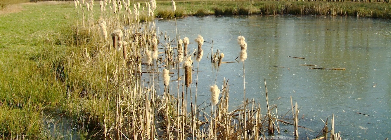The nature reserve of Asbeke-Kinzbachtal in the town of Herford, District of Herford, North Rhine-Westphalia, Germany.