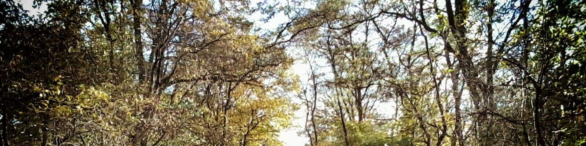 Günnigfeld, Bochum, Germany