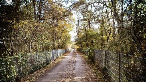 Günnigfeld, Bochum, Germany