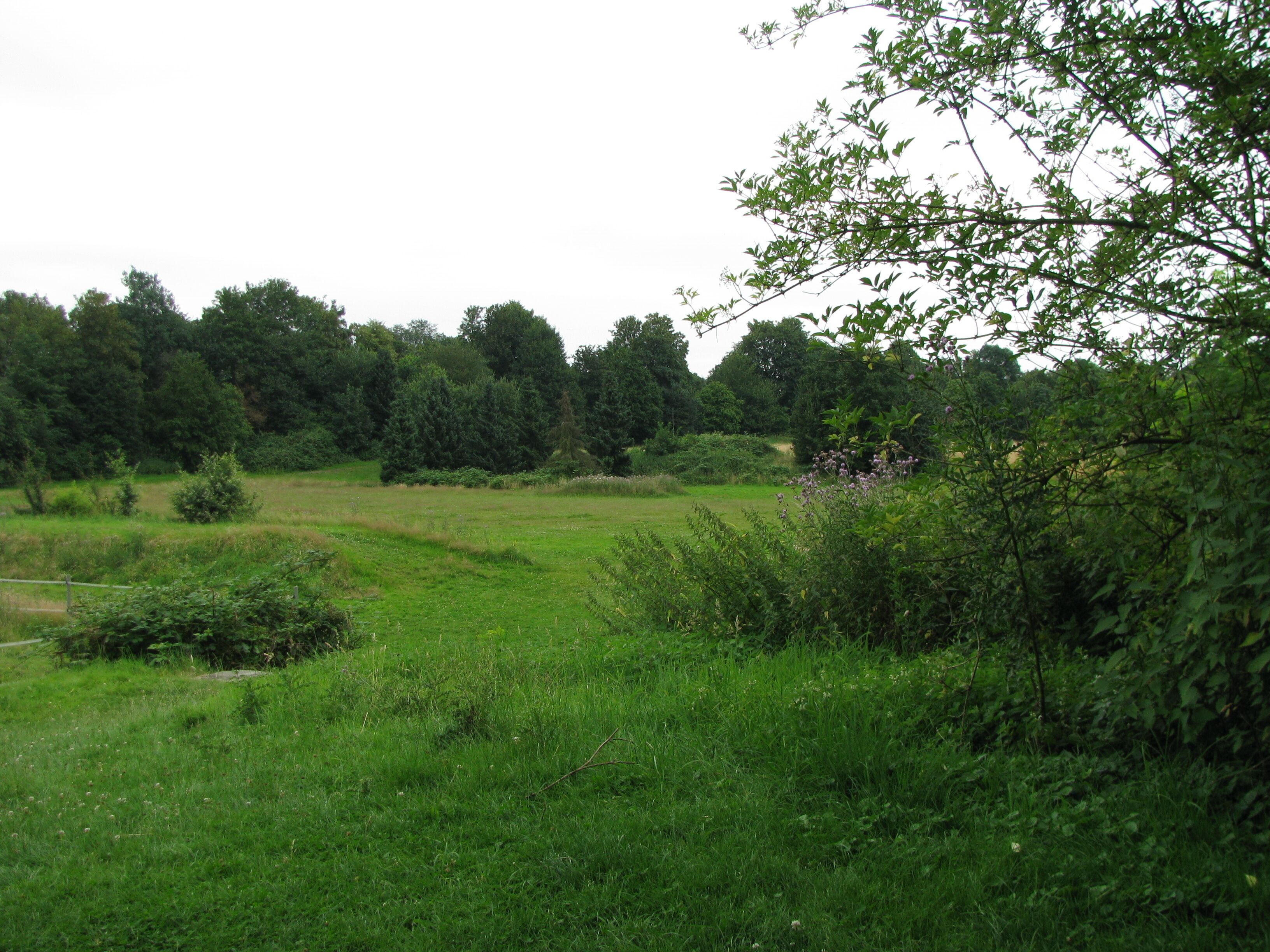 Teil der Merheimer Heide nordwestlich des Kreuz Köln-Ost