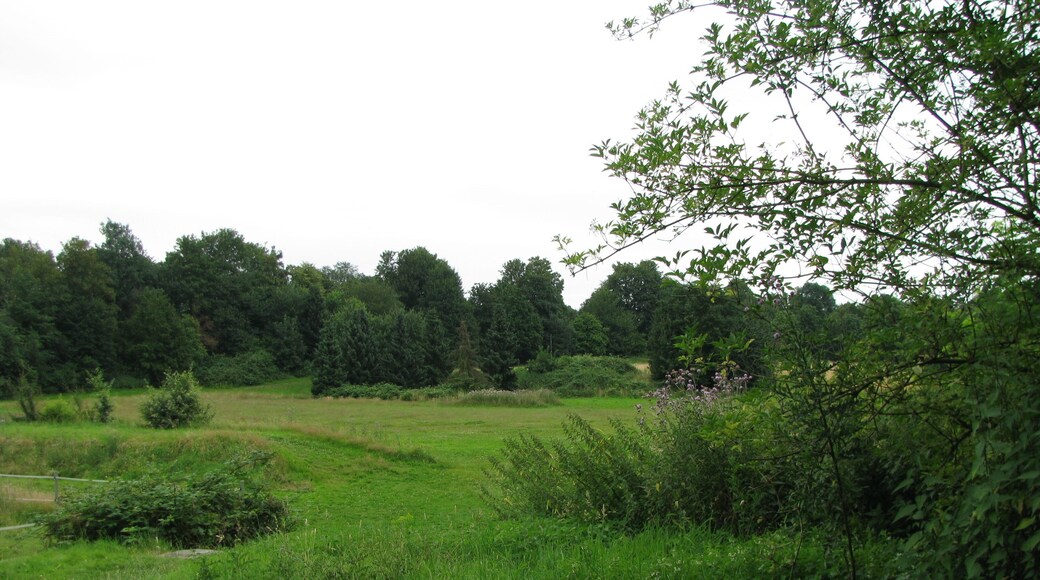 Teil der Merheimer Heide nordwestlich des Kreuz Köln-Ost