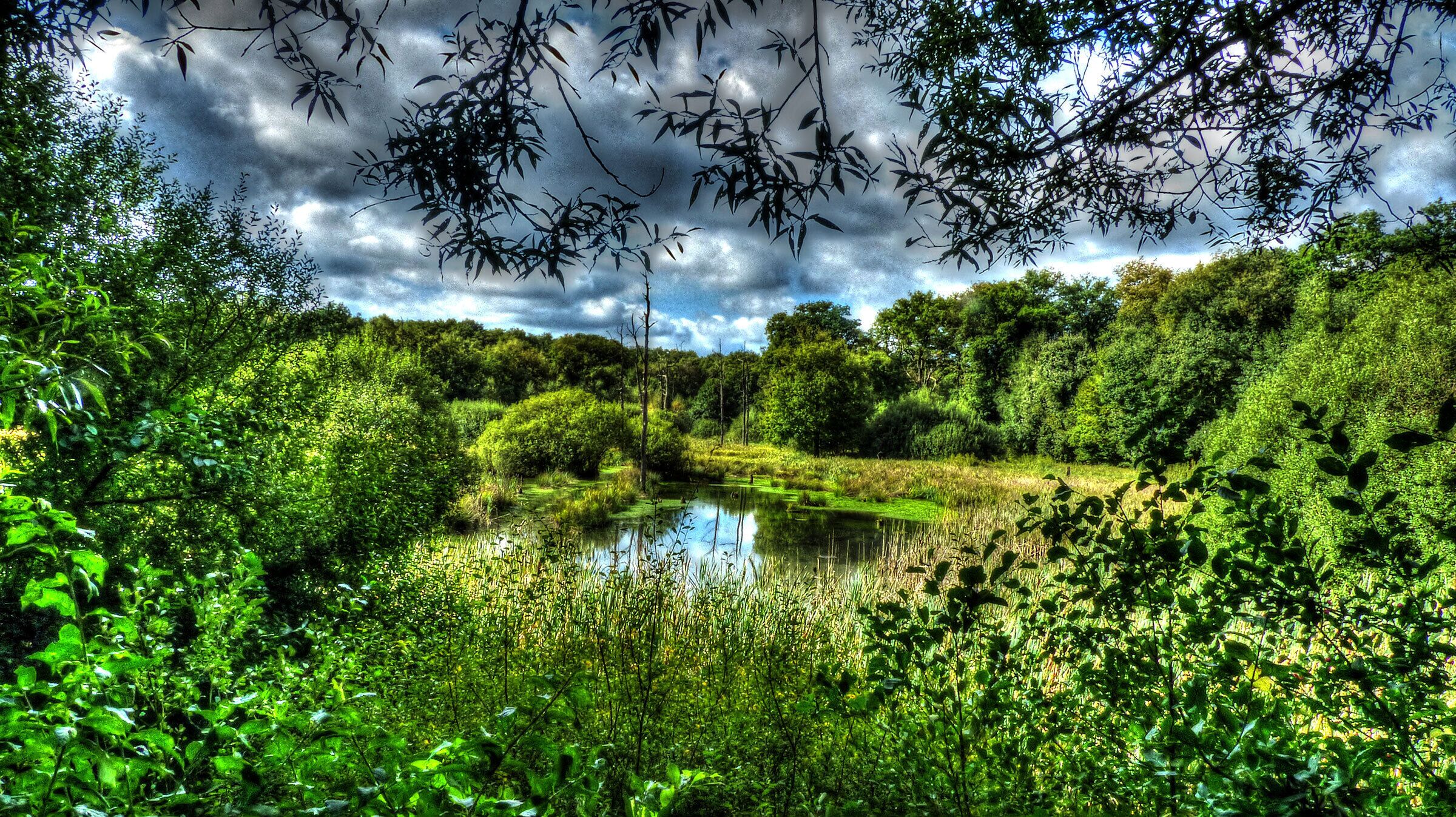 Resser See, Naturschutzgebiet „Im Emscherbruch, nördlich des Ewaldsees“ in Gelsenkirchen