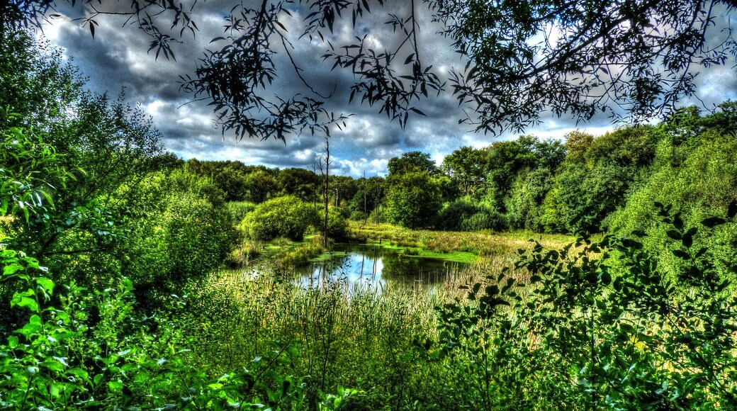 Resser See, Naturschutzgebiet „Im Emscherbruch, nördlich des Ewaldsees“ in Gelsenkirchen