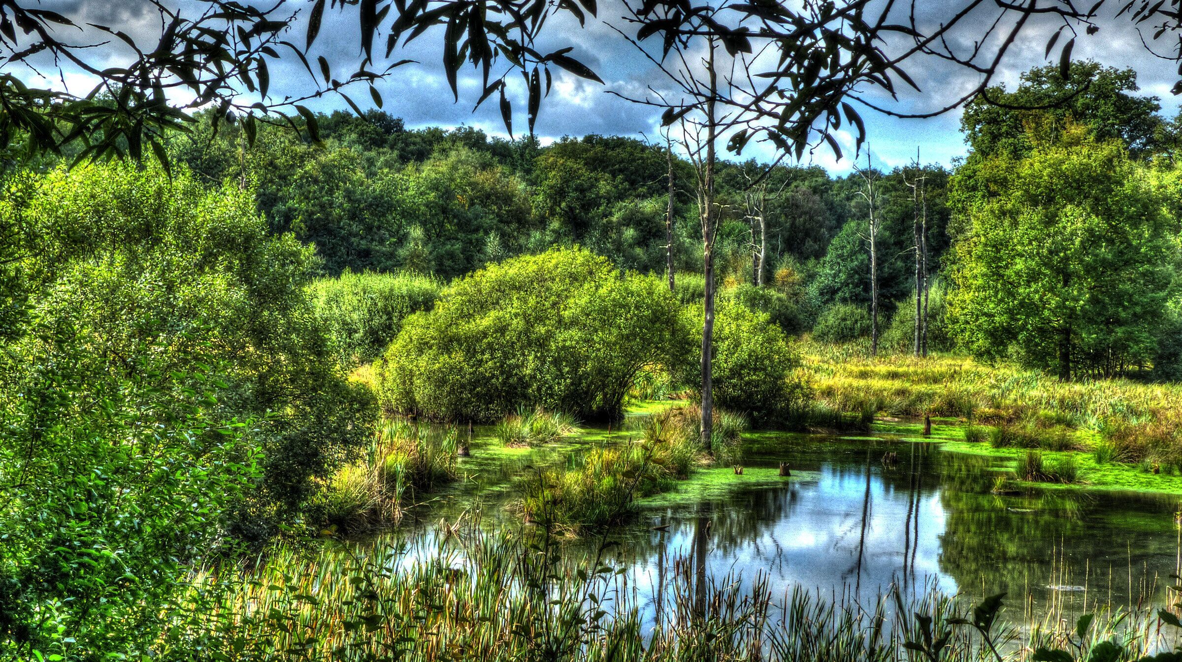 Naturschutzgebiet „Im Emscherbruch, nördlich des Ewaldsees“ in Gelsenkirchen
