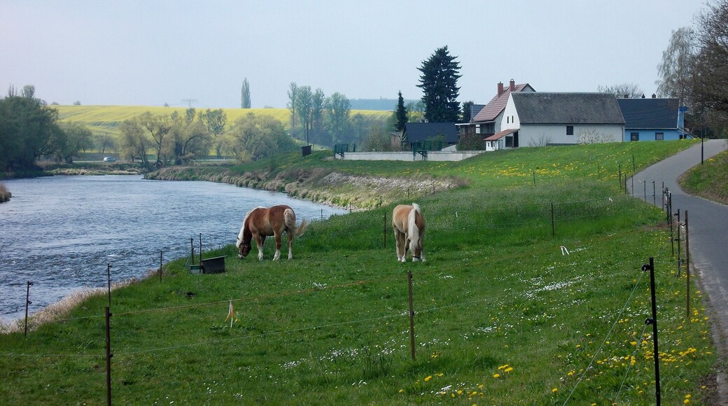 Freiberger Mulde river near Erlln (Colditz, Leipzig district, Saxony)