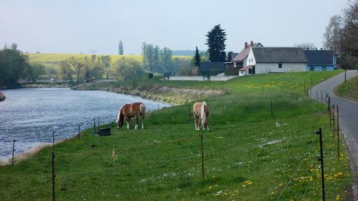Freiberger Mulde river near Erlln (Colditz, Leipzig district, Saxony)