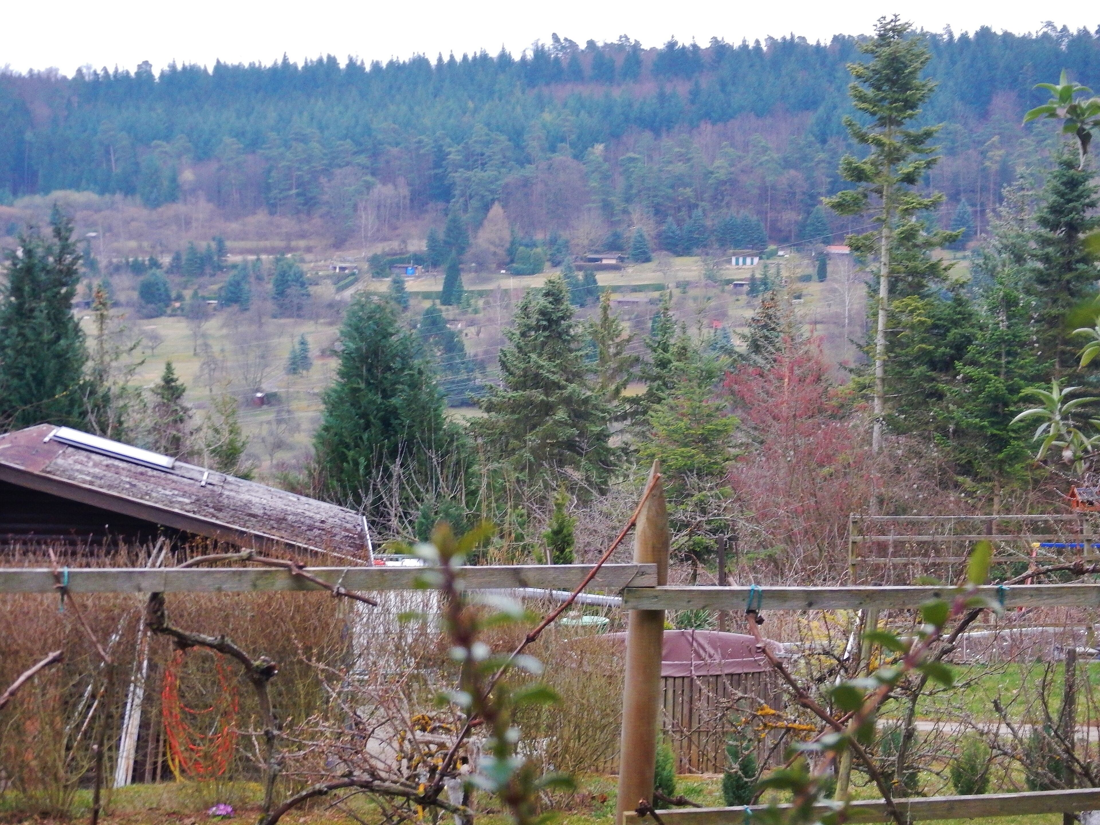Schrebergärten bei Merklingen