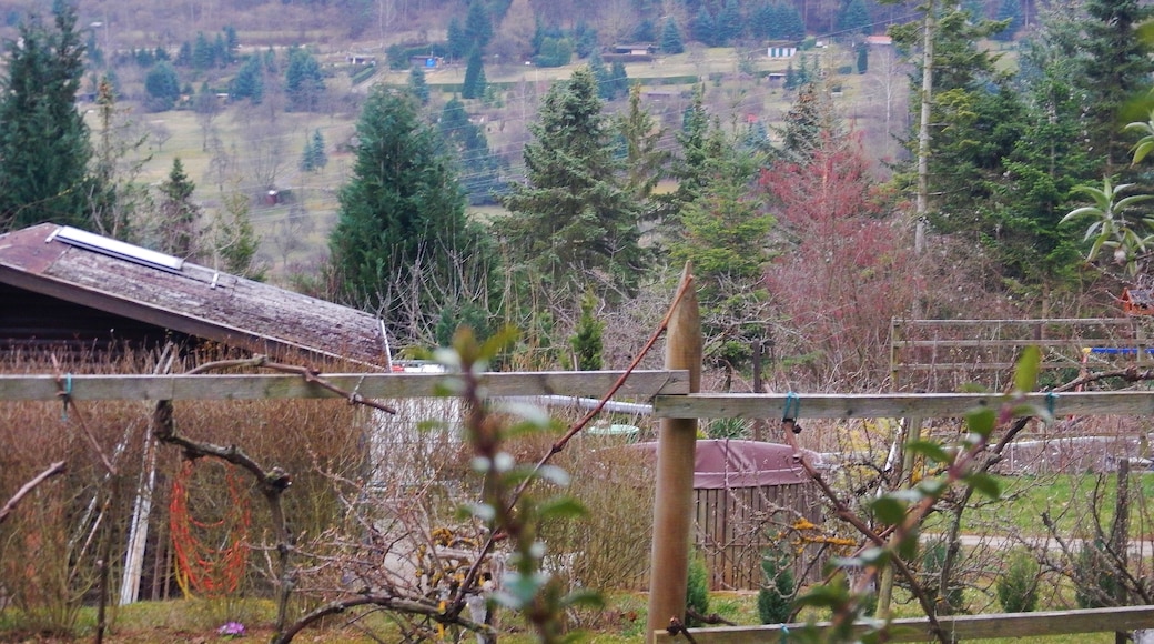 Schrebergärten bei Merklingen