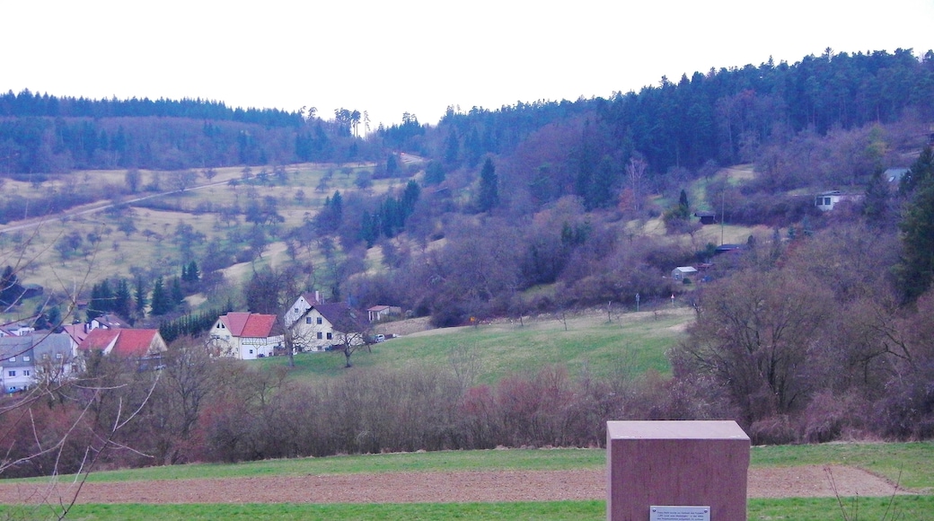 Diese Stele wurde zur Halbzeit des Projekts "LIFE rund ums Heckengäu" in der MItte des Projektgebietes aufgestellt. Es umfasst die Schutzgebiete des europaweiten Netzwerks Natura 2000.