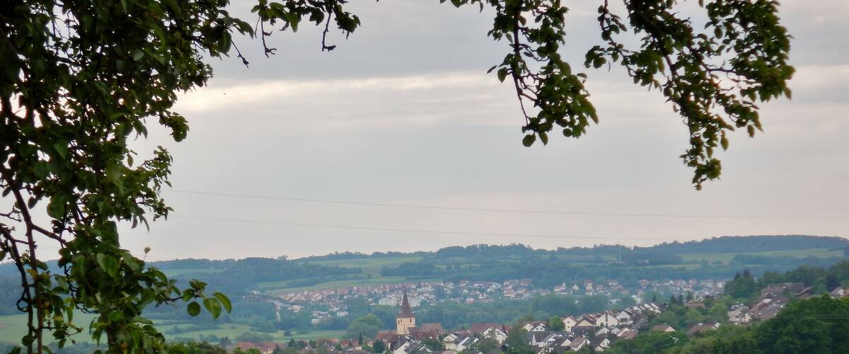 A town with a prominent church surrounded by lush green fields and rolling hills in the background.