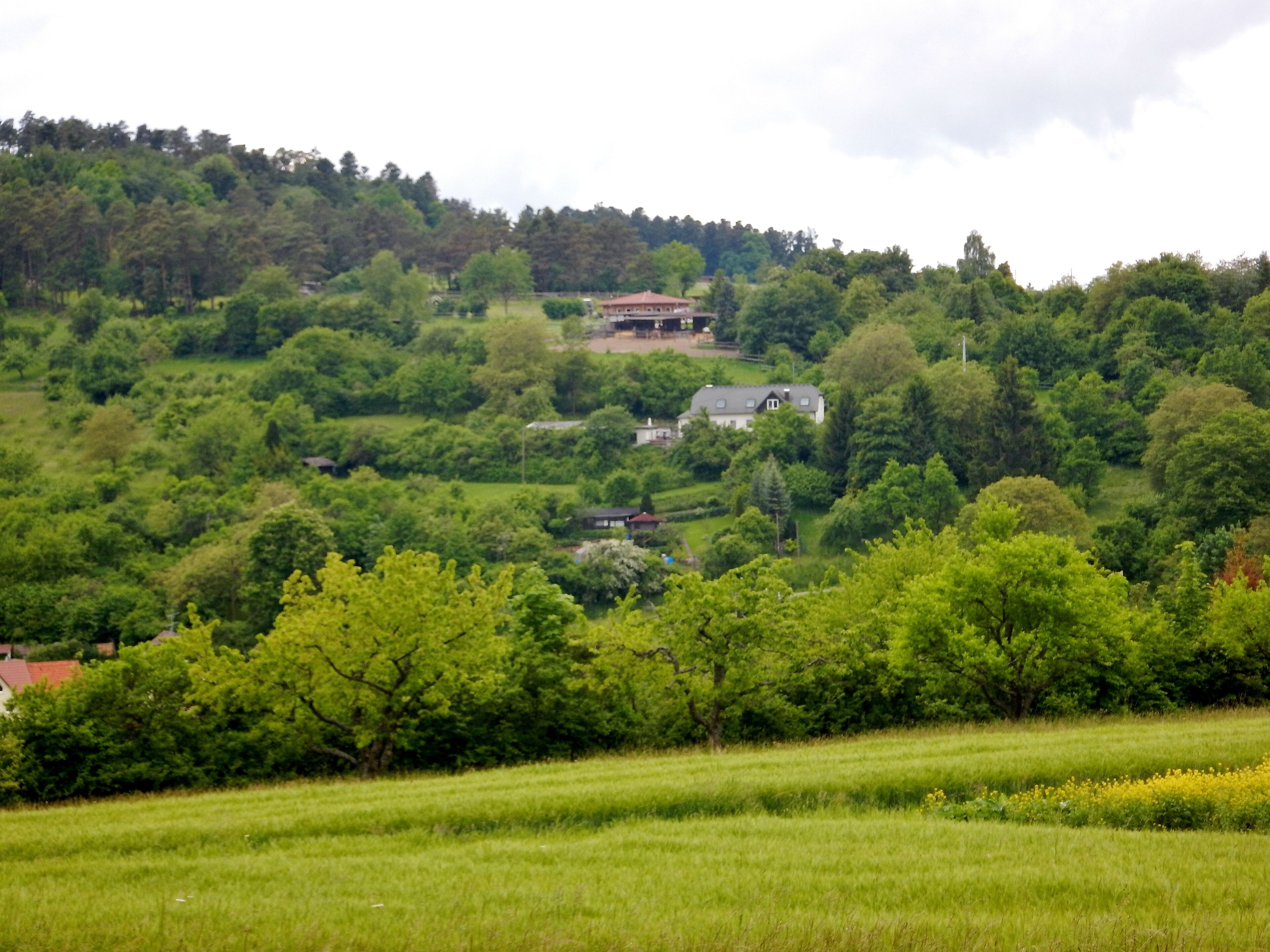 Blick zum Reiterhof Toll
