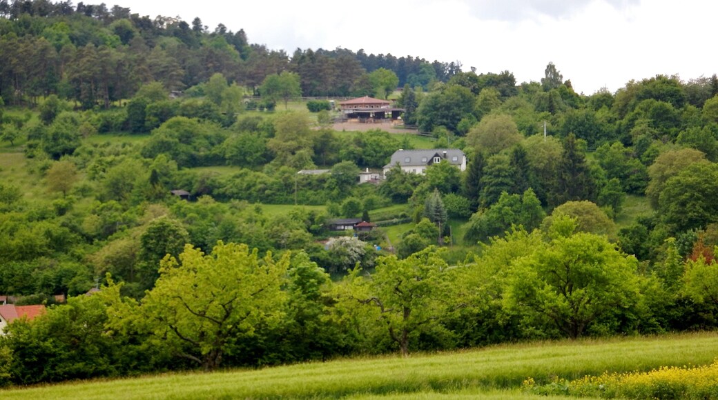 Blick zum Reiterhof Toll