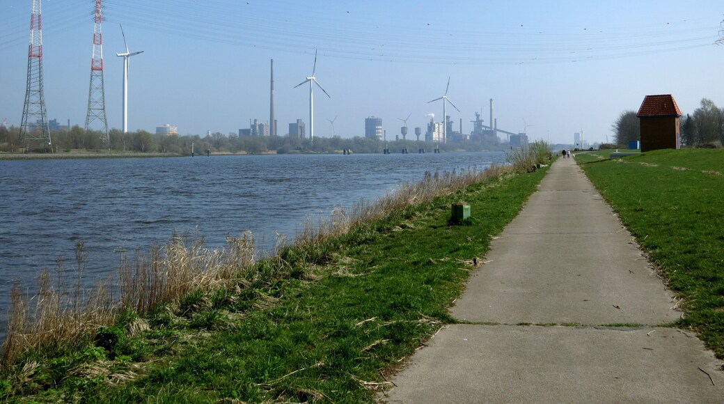 Die Weser in Bremen, Niedervieland