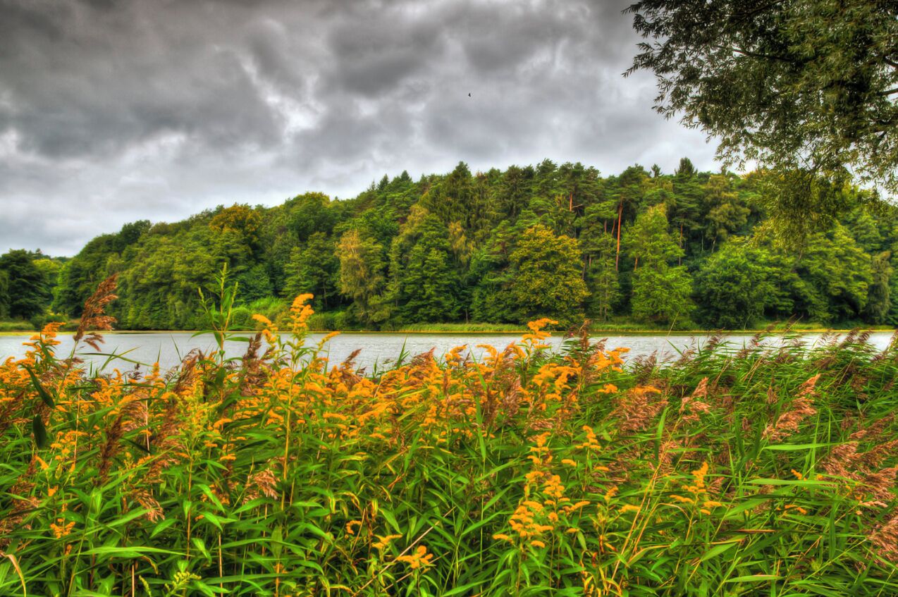 Harburger Stadtpark (HDR)