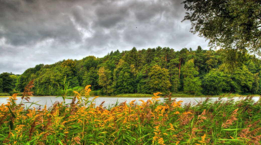 Harburger Stadtpark (HDR)
