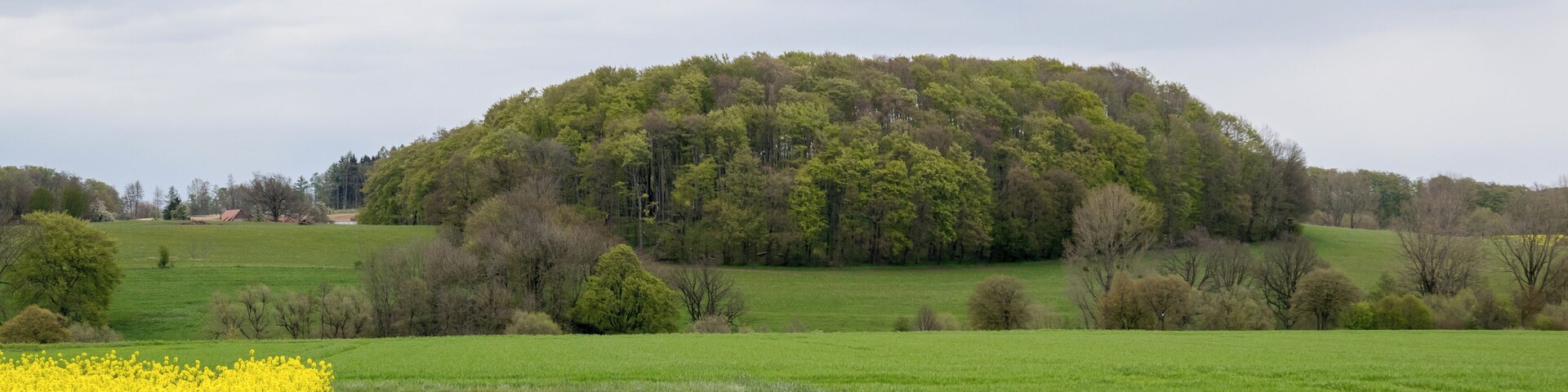 LSG Egge-Gebiet und Lipper Bergland mit Bielefelder Osning, Paderborner Hochfläche und Hellwegbörden in Horn-Bad Meinberg