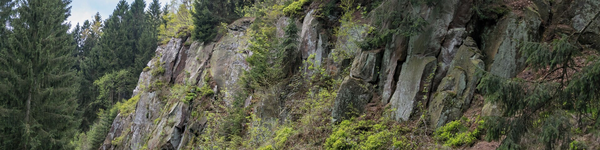 Ehemaliger Steinbruch, sogenannter Silberort, an der Preußischen Velmerstot im Eggegebirge.