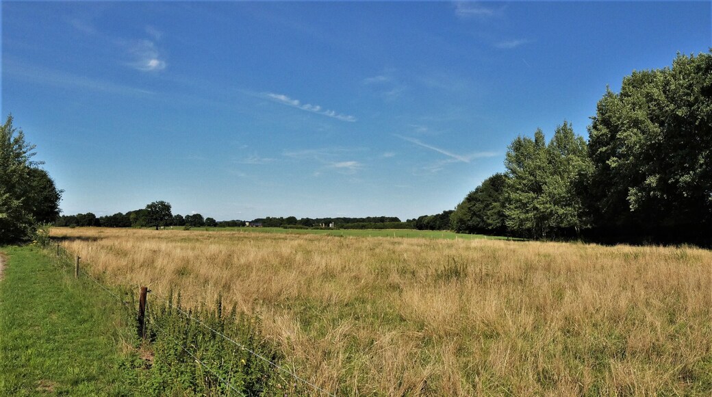Das Bietenschlatt ist ein Naturschutzgebiet in der Gemeinde Südlohn im Kreis Borken in Nordrhein-Westfalen.