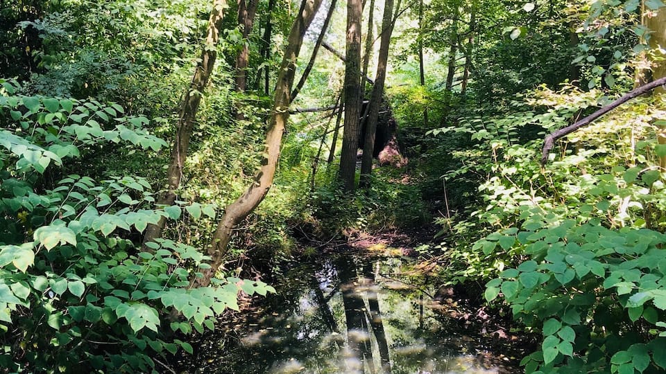 A beautiful park near the river.