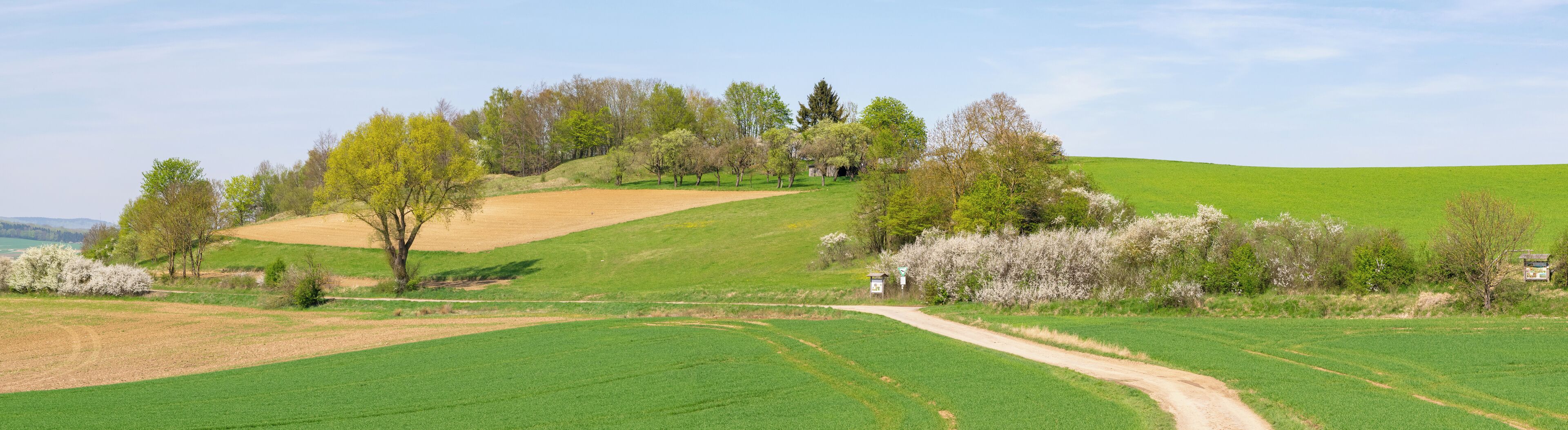 A rural landscape with rolling hills, green fields, and a dirt path.