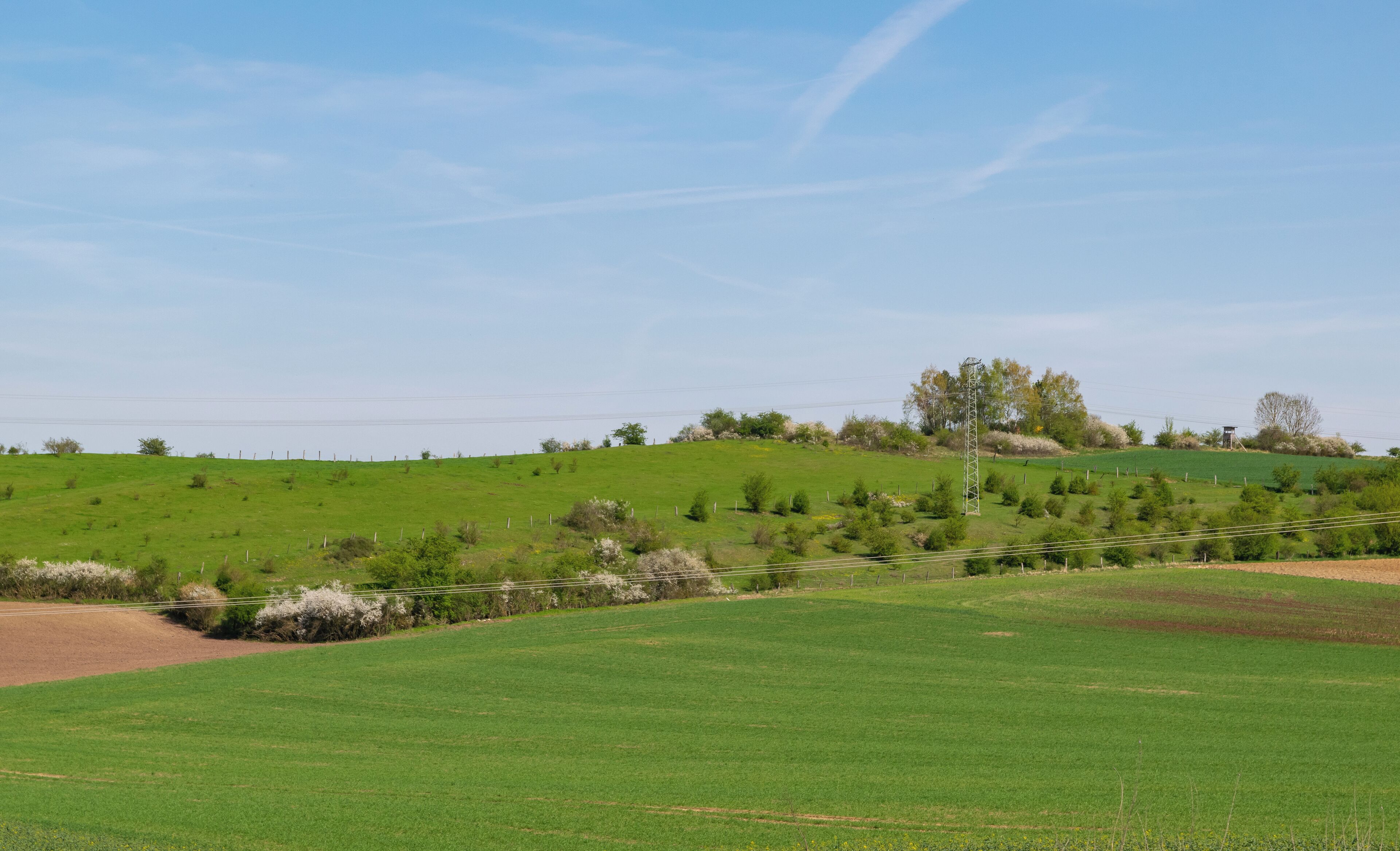 Naturschutzgebiet Kalkmagerrasen bei Ossendorf in Warburg-Ossendorf, Kreis Höxter; nordöstlicher Bereich