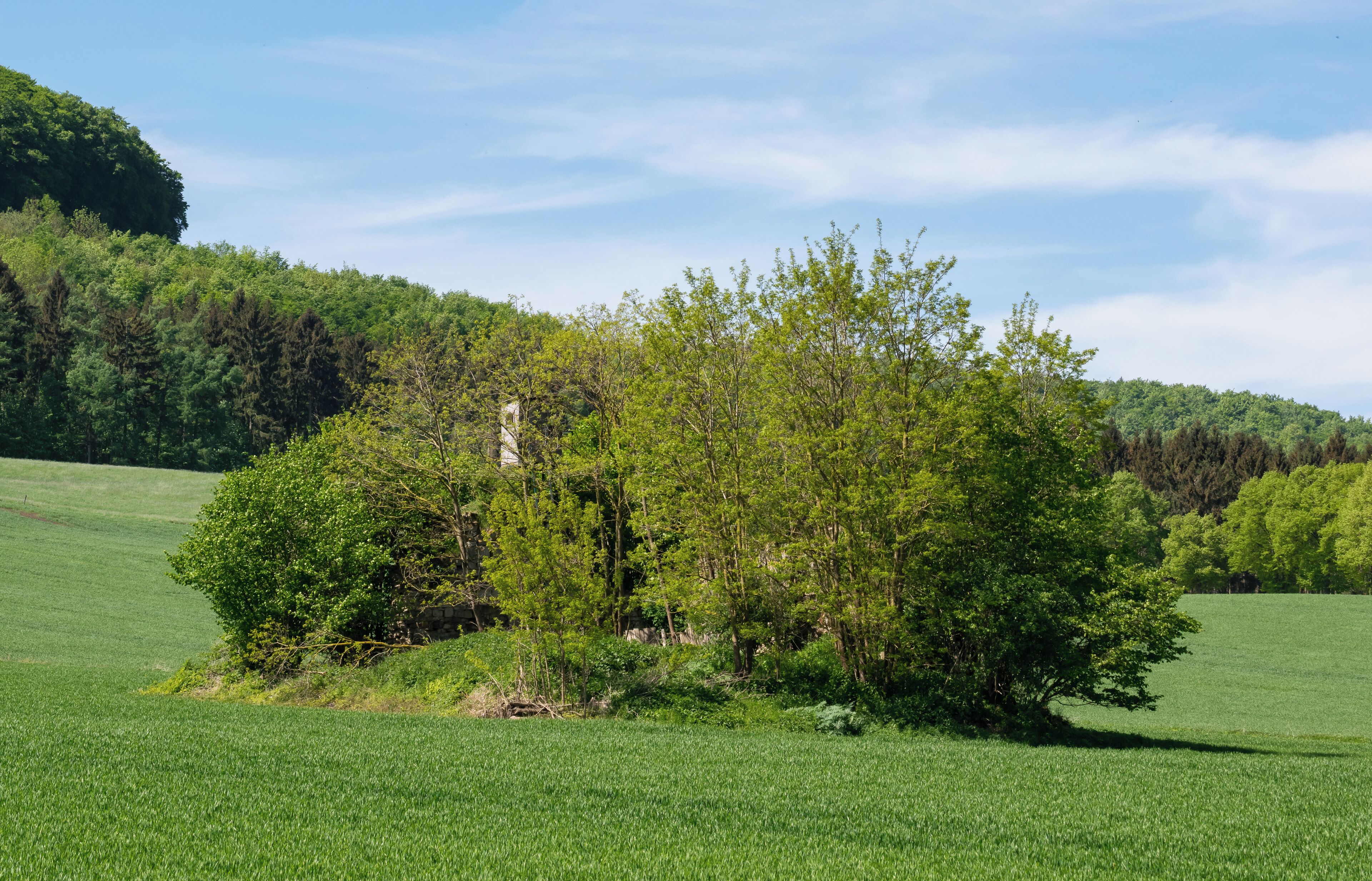 Mittelalterliche Wohnturmruine im Asseler Feld bei Warburg-Ossendorf.
