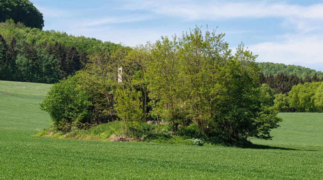 Mittelalterliche Wohnturmruine im Asseler Feld bei Warburg-Ossendorf.