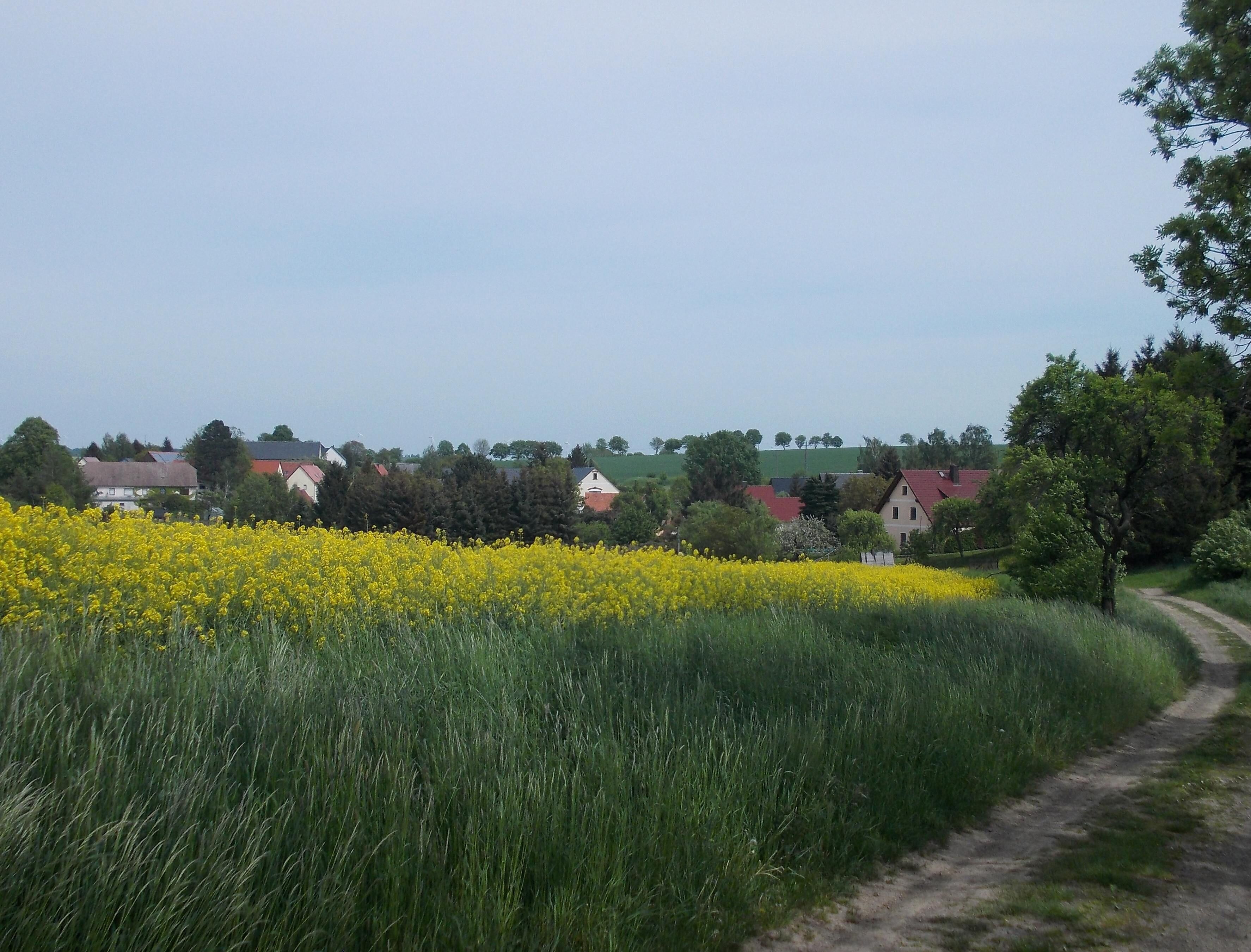 Wolkau (Nossen, Meissen district, Saxony) from the north-west
