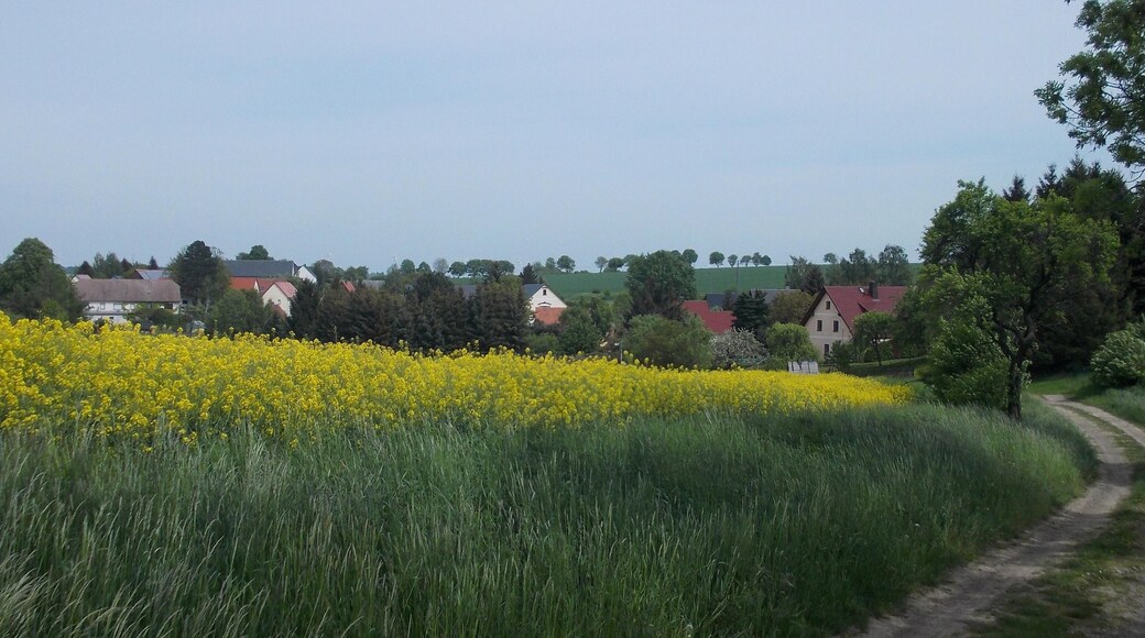 Wolkau (Nossen, Meissen district, Saxony) from the north-west