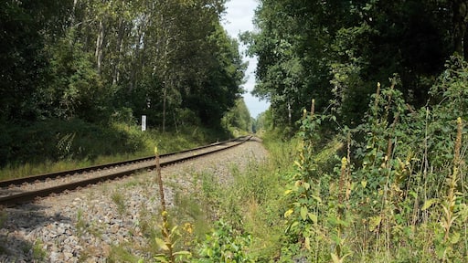 Nossen-Riesa railway line near Bodenbach (Nossen, Meissen district, Saxony)