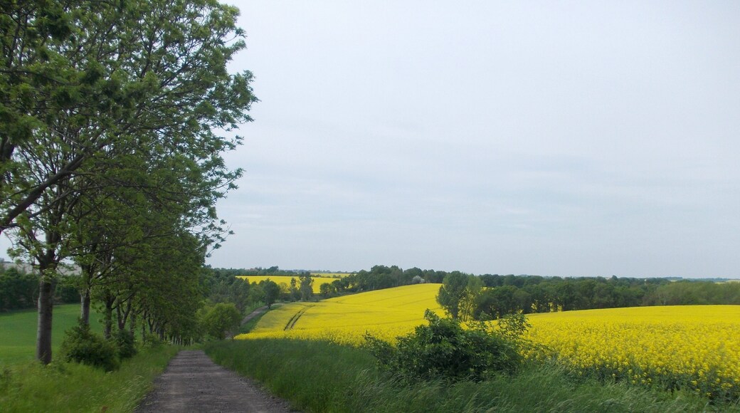 Path from Wolkau to Starbach (Nossen, Meissen district, Saxony)