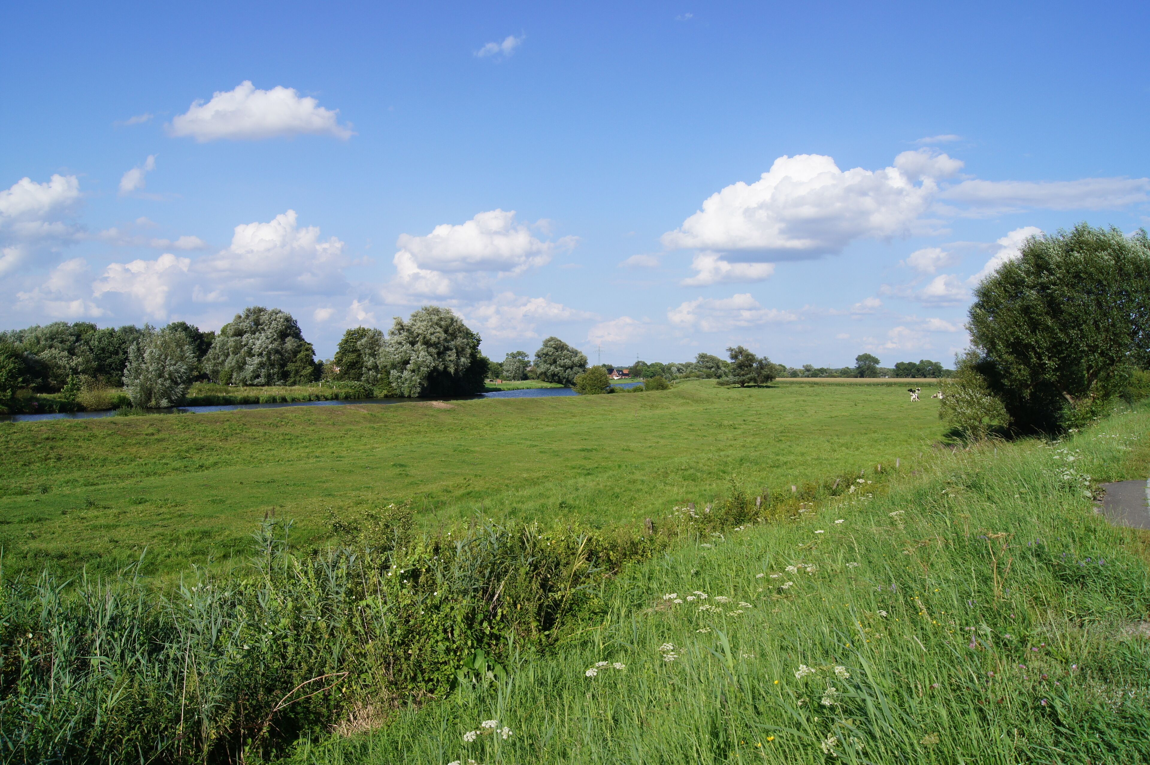 Hamburg (Reitbrook), Germany: Vorderdeich, polder and Dove Elbe