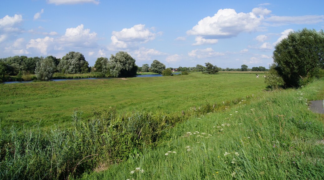 Hamburg (Reitbrook), Germany: Vorderdeich, polder and Dove Elbe