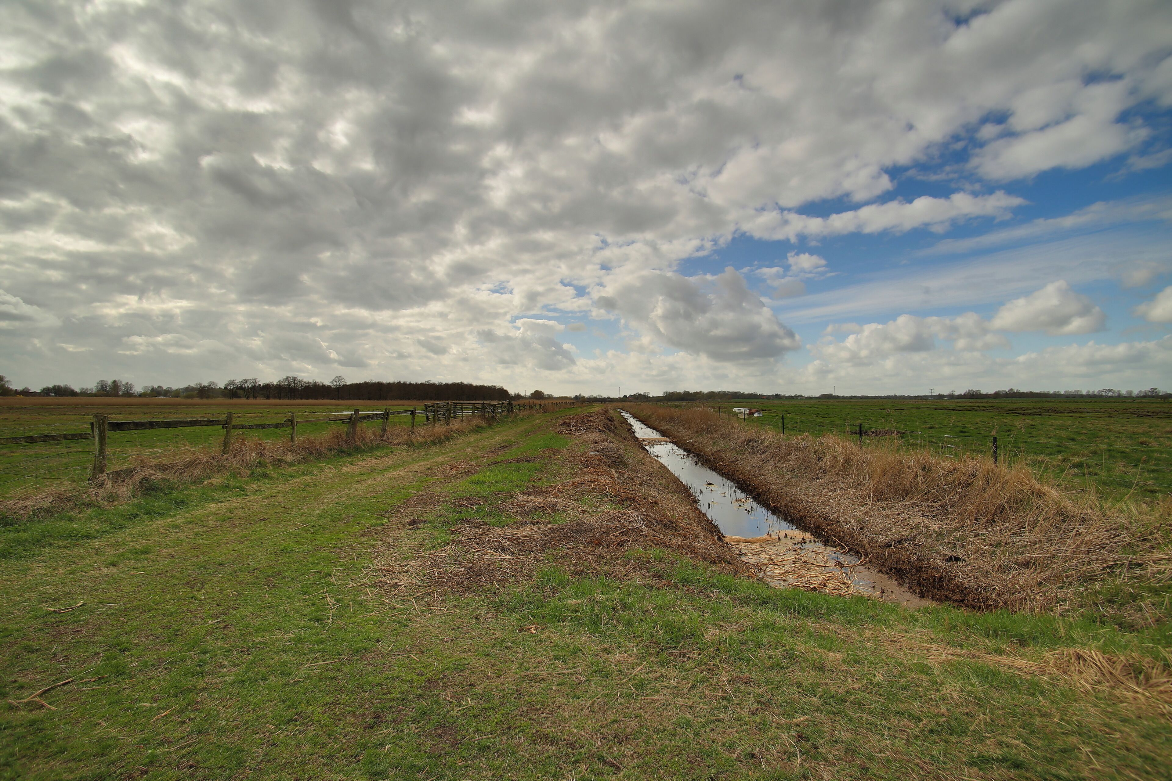 Das FFH-Gebiet „Binnensalzstelle Greifswald, An der Bleiche“, mit Entwässerungsgraben