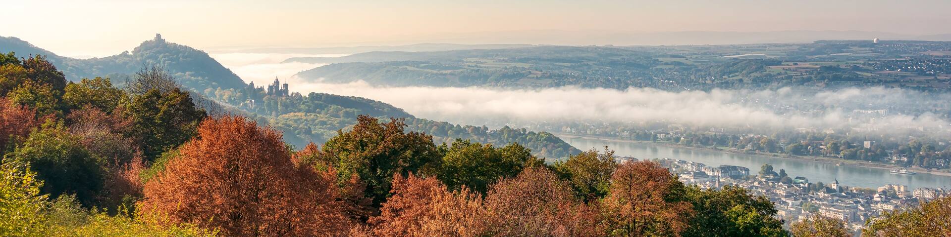 A panoramic view of a city surrounded by hills and a river, with autumn foliage in the foreground.