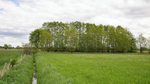 Naturschutzgebiet Gunnewiesen in Delbrück und Salzkotten, Kreis Paderborn; Teilgebiet in Delbrück, Entwässerungsgraben