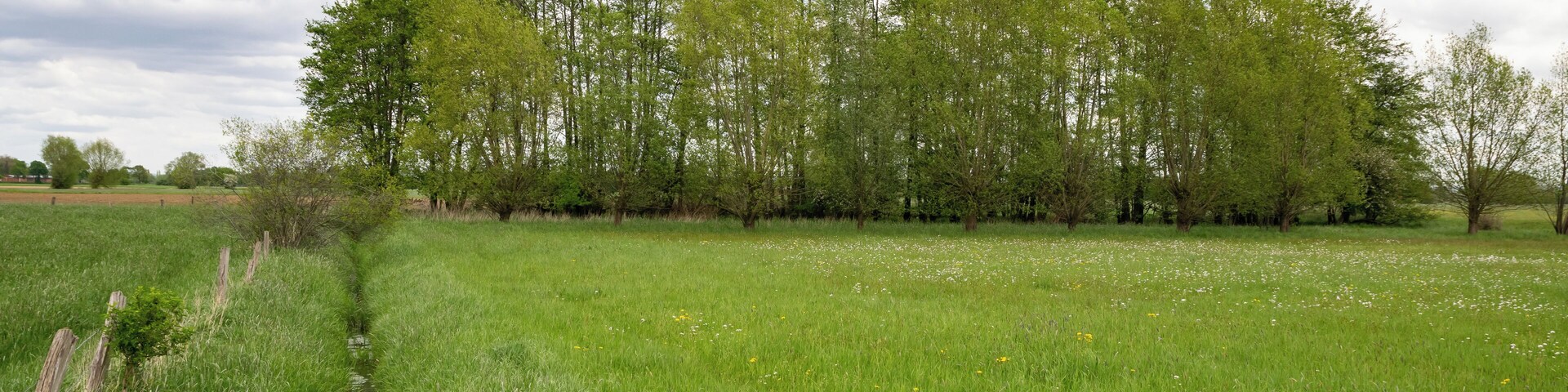 Naturschutzgebiet Gunnewiesen in DelbrĂŒck und Salzkotten, Kreis Paderborn; Teilgebiet in DelbrĂŒck, EntwĂ€sserungsgraben