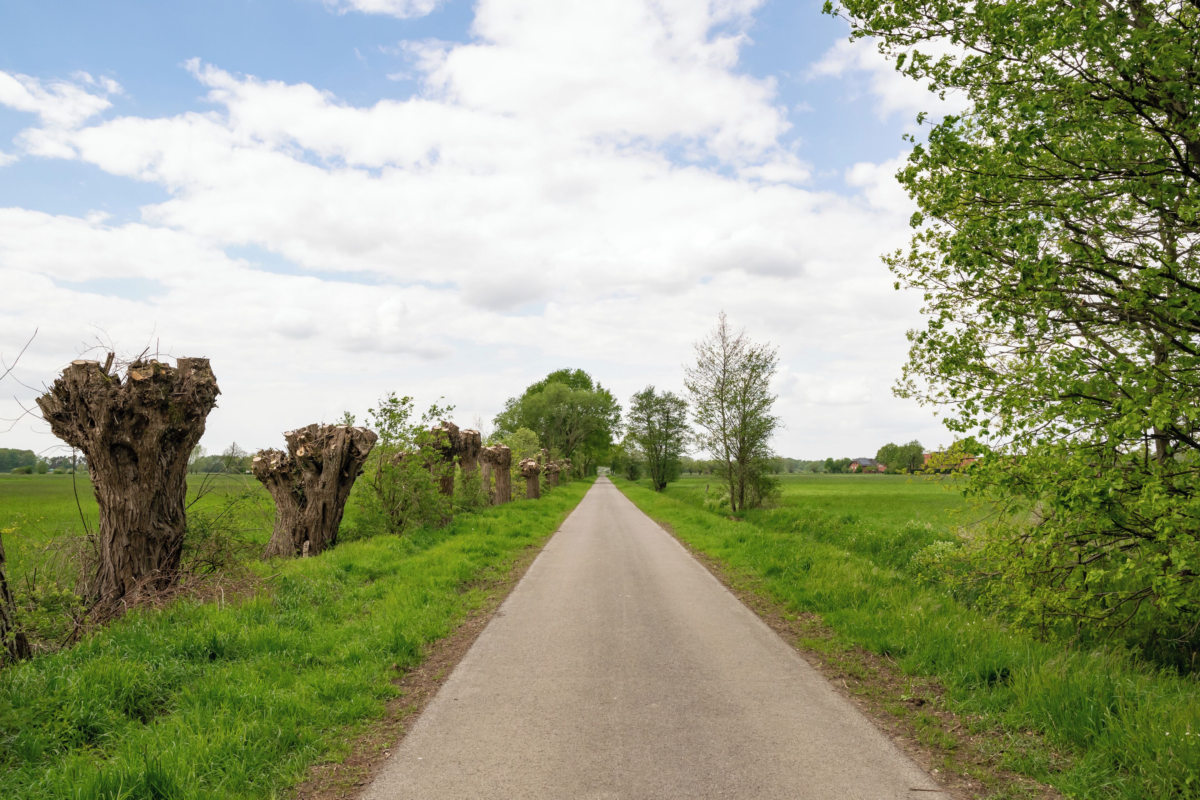 Naturschutzgebiet Gunnewiesen in Delbrück und Salzkotten, Kreis Paderborn; Teilgebiet in Delbrück