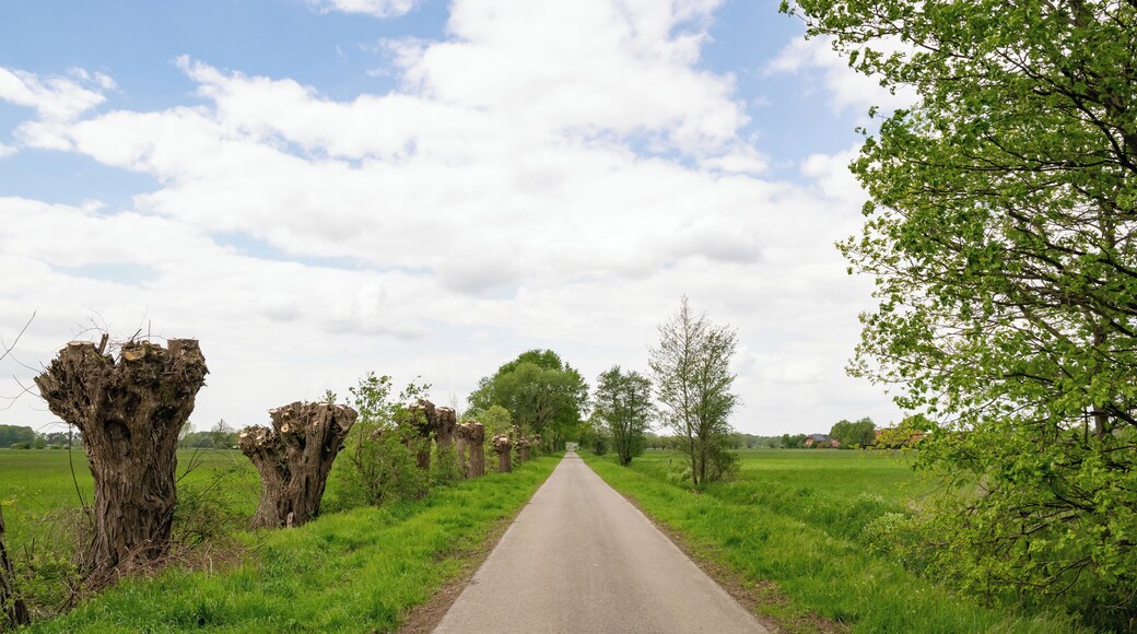 Naturschutzgebiet Gunnewiesen in Delbrück und Salzkotten, Kreis Paderborn; Teilgebiet in Delbrück
