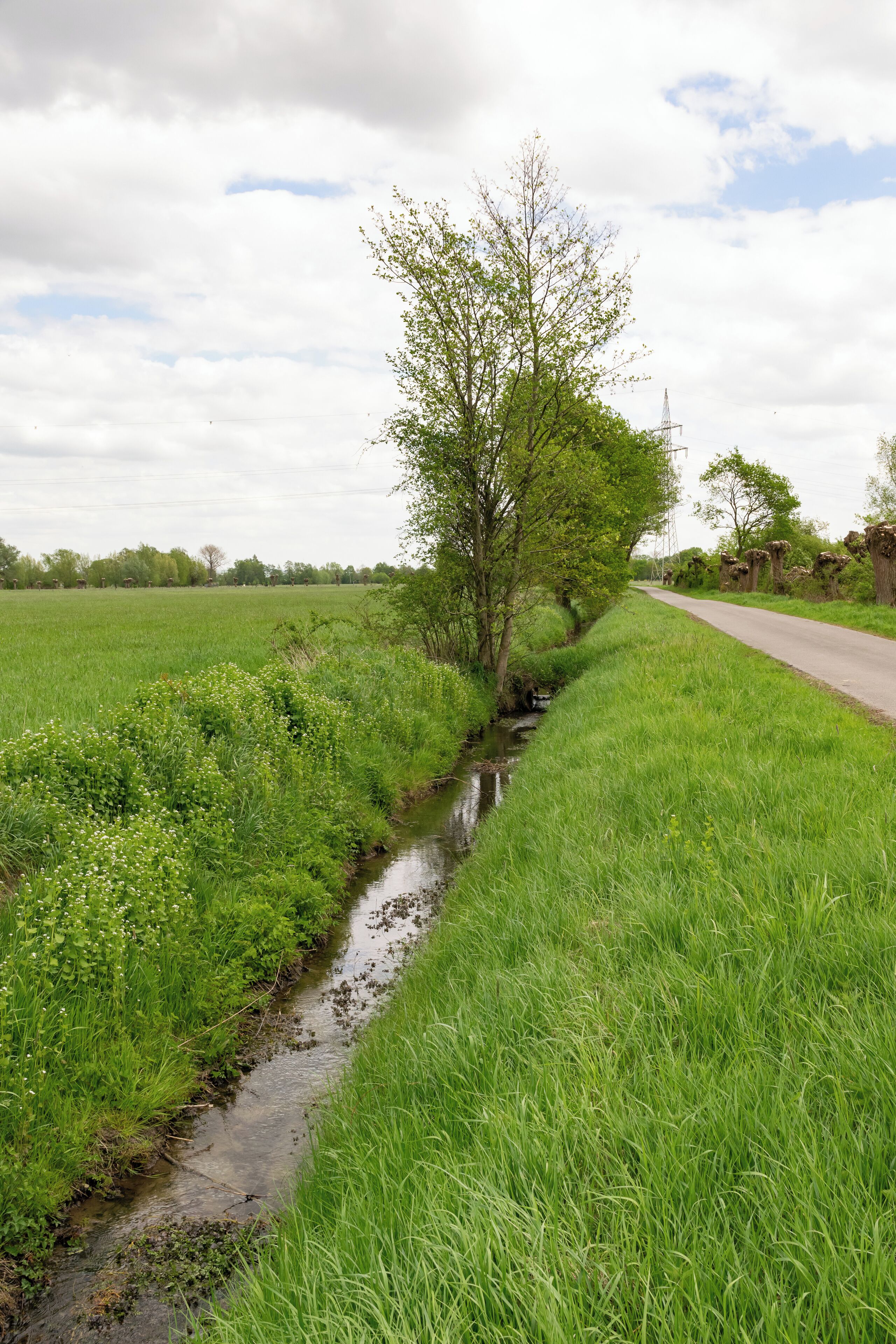 Naturschutzgebiet Gunnewiesen in Delbrück und Salzkotten, Kreis Paderborn; Teilgebiet in Delbrück, Entwässerungsgraben
