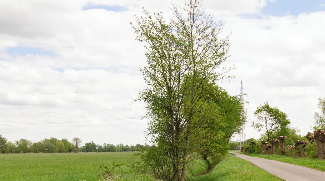 Naturschutzgebiet Gunnewiesen in Delbrück und Salzkotten, Kreis Paderborn; Teilgebiet in Delbrück, Entwässerungsgraben