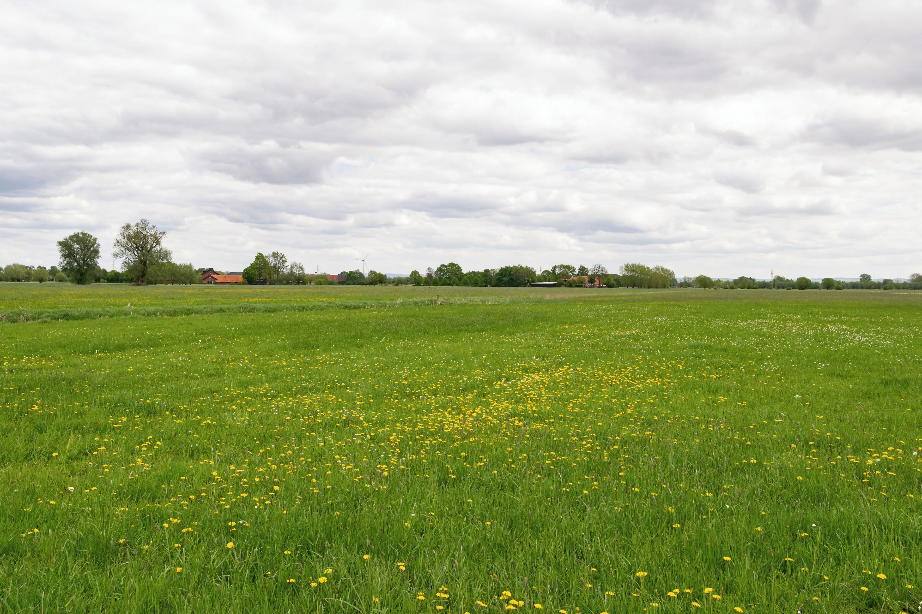 Naturschutzgebiet Gunnewiesen in Delbrück und Salzkotten, Kreis Paderborn; Teilgebiet in Delbrück