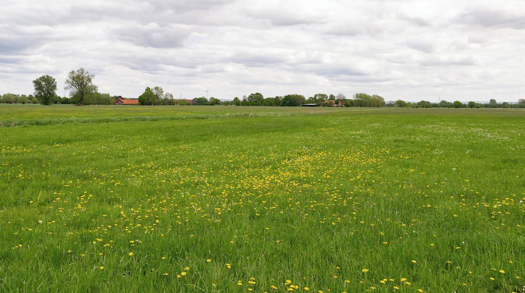 Naturschutzgebiet Gunnewiesen in Delbrück und Salzkotten, Kreis Paderborn; Teilgebiet in Delbrück