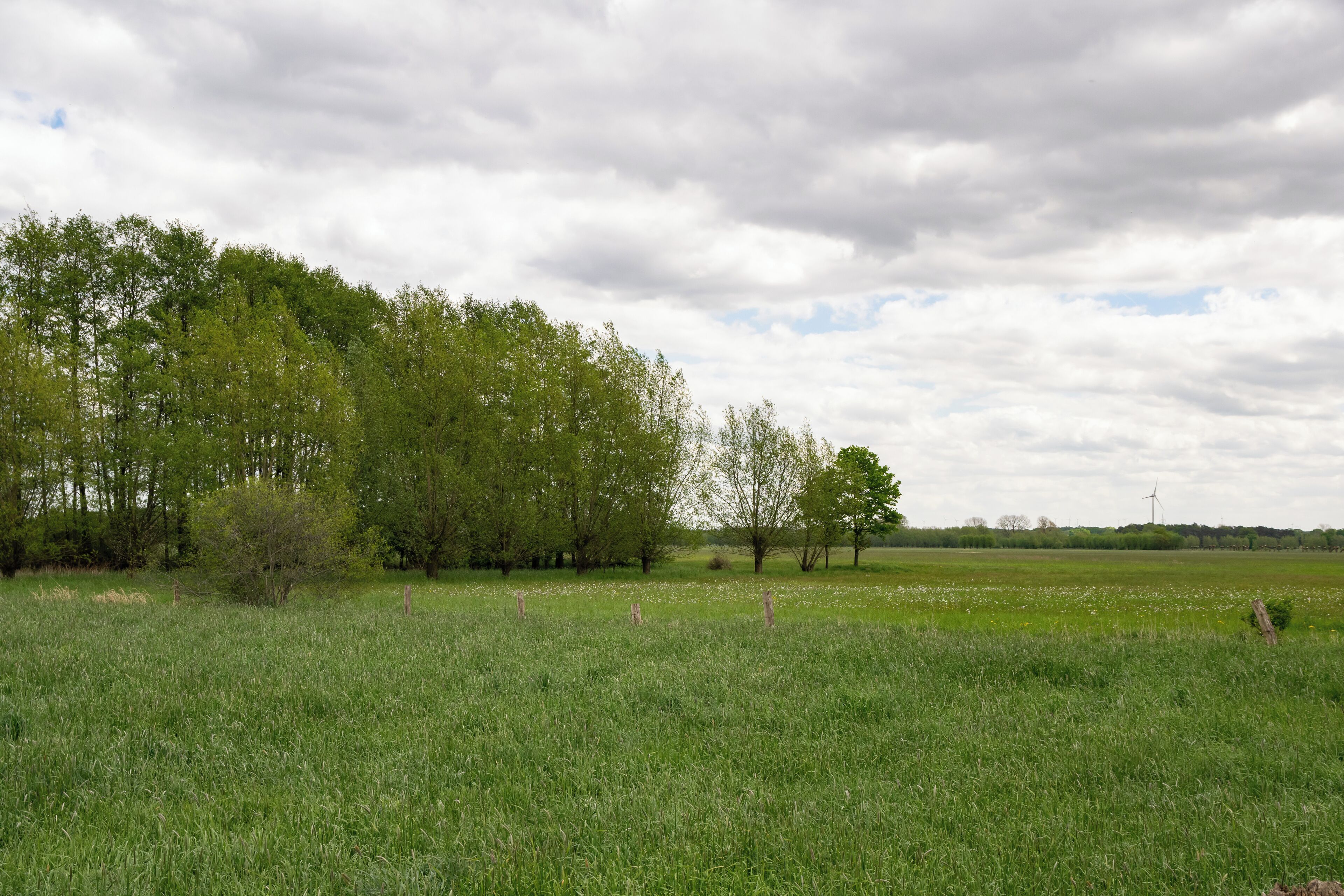 Naturschutzgebiet Gunnewiesen in Delbrück und Salzkotten, Kreis Paderborn; Teilgebiet in Delbrück